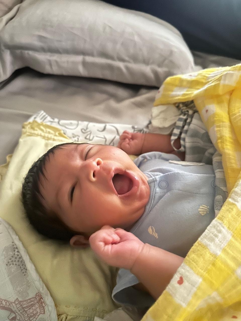 First Yawn